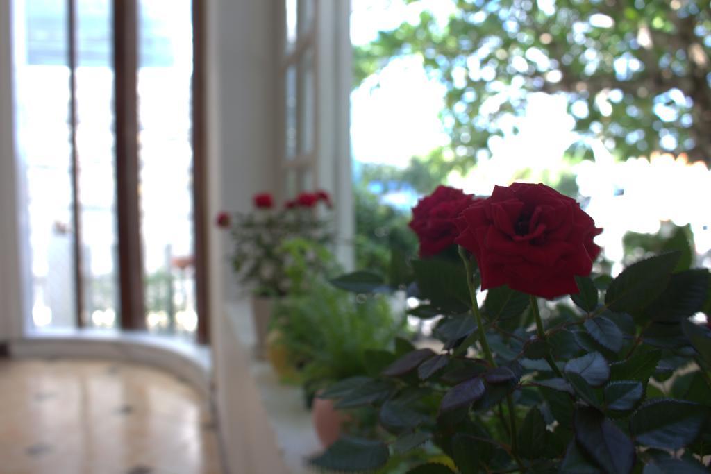 Des Ami Villa Vung Tau Esterno foto