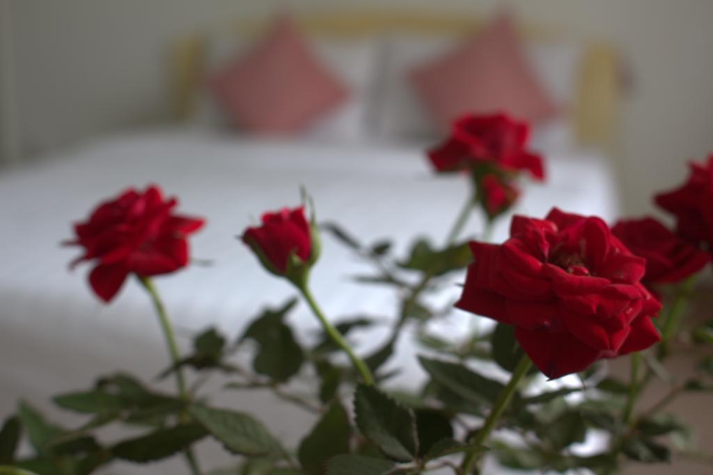 Des Ami Villa Vung Tau Esterno foto