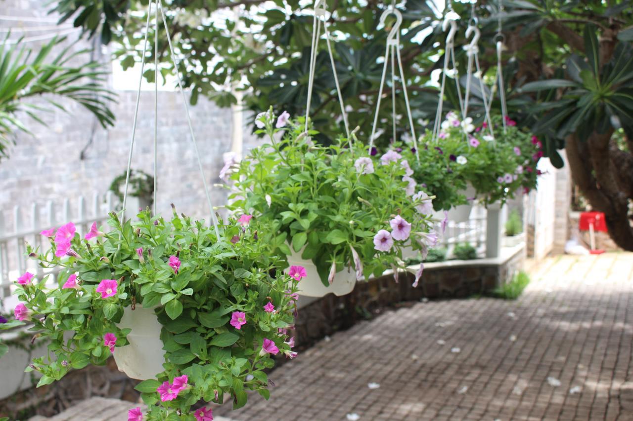 Des Ami Villa Vung Tau Esterno foto